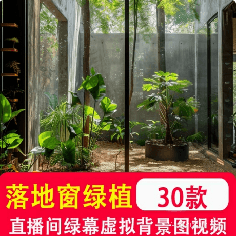 竖版室内落地窗庭院窗户绿植树叶绿幕直播间虚拟动态视频背景图片