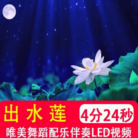 出水莲 唯美舞蹈配乐伴奏晚会演出舞台LED大屏幕高清视频背景制作