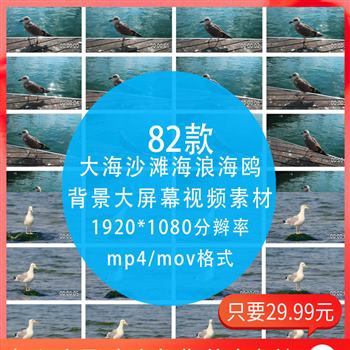 蓝天白云大海沙滩海浪海鸥海上日出 海洋led大屏幕视频背景素材