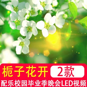 栀子花开舞蹈配乐校园毕业季晚会节目表演LED大屏幕视频背景素材