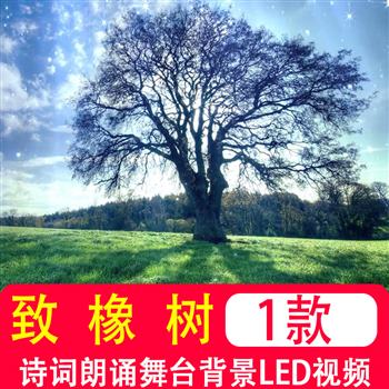 致橡树 舒婷 诗歌朗诵背景视频爱情诗配乐晚会大屏幕LED背景制作