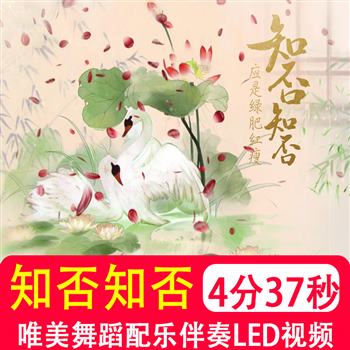 知否知否 歌曲配乐伴奏舞蹈表演大屏晚会高清大屏led视频背景制作