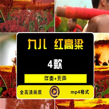 《九儿 》(红高粱)朗诵演讲LED大屏幕背景视频