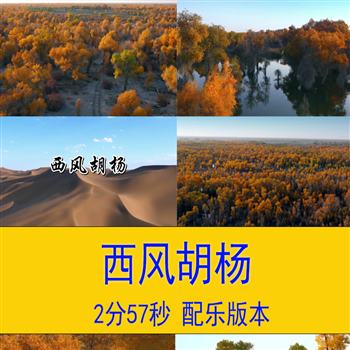 西风胡杨诗词歌朗诵演讲视频背景胡杨林背景视频胡杨舞台演出视频