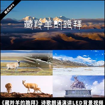 《藏羚羊的跪拜》节选诗歌朗诵演讲 配乐大屏背景视频素材