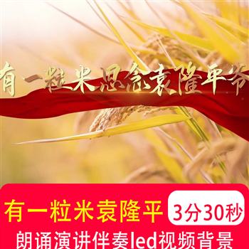 有一粒米思念袁隆平爷爷 稻田朗诵演讲伴奏LED大屏幕背景视频制作