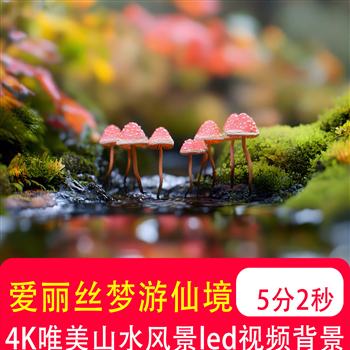 4K爱丽丝梦游仙境梦幻唯美童话森林蝴蝶蘑菇LED大屏背景视频制作